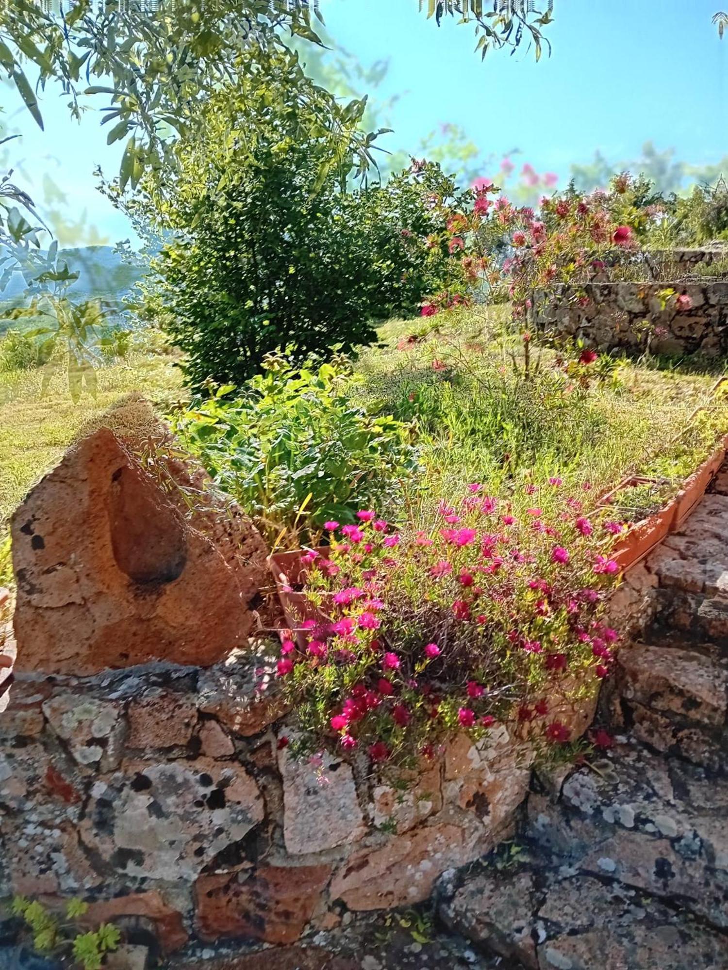 مبيت وإفطار Seùlo Lugori المظهر الخارجي الصورة